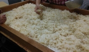 麹を醸してつくる自家製白味噌