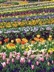 手帳買い換えて生まれ変わる!変わろう!変われますように・・・